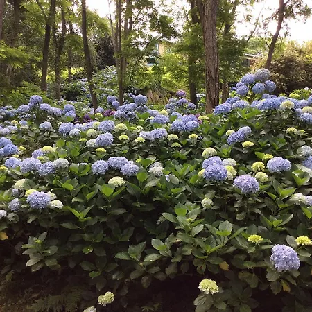 Κατάλυμα σε φάρμα Mar Y Mar *