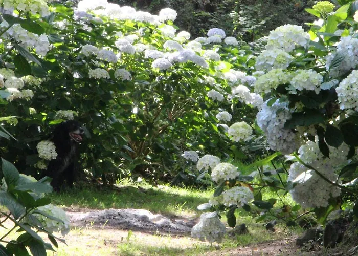 Mar Y Mar Farmház San Sebastián