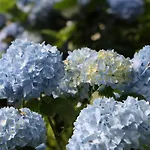 팜스테이 Mar Y Mar