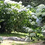 Mar Y Mar 팜스테이 산세바스티안