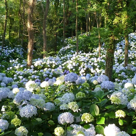 Bauernhof Mar Y Mar San Sebastián