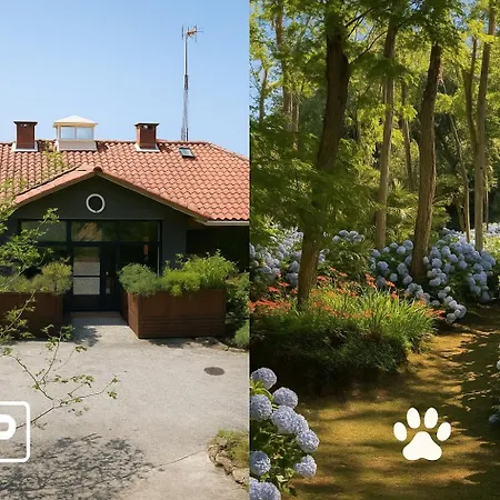 Mar Y Mar 팜스테이 *