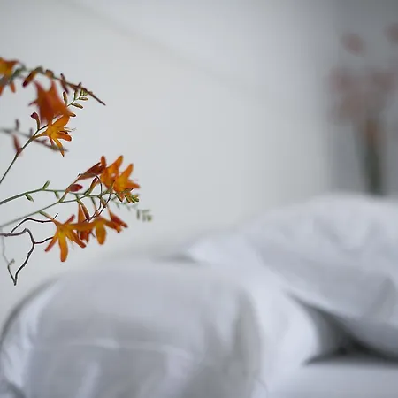 Mar Y Mar San Sebastián