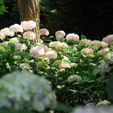 Mar Y Mar Bauernhof San Sebastián