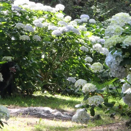 Mar Y Mar Bauernhof San Sebastián