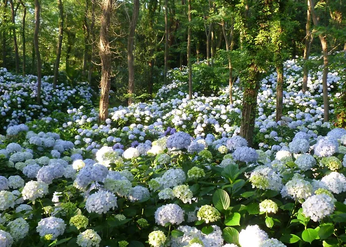 팜스테이 Mar Y Mar 산세바스티안