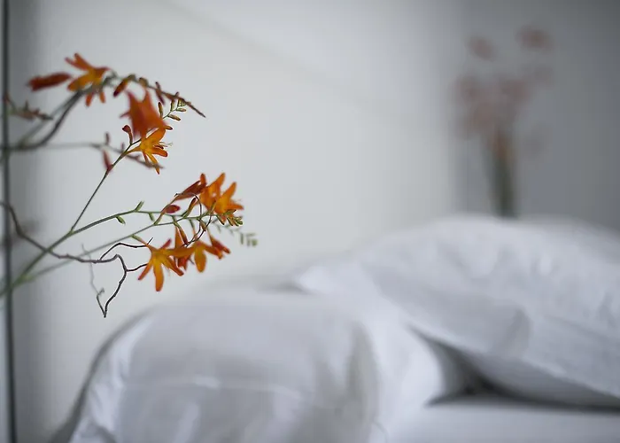 Mar Y Mar Σαν Σεμπαστιάν