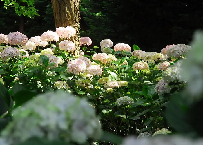 Mar Y Mar 팜스테이 산세바스티안