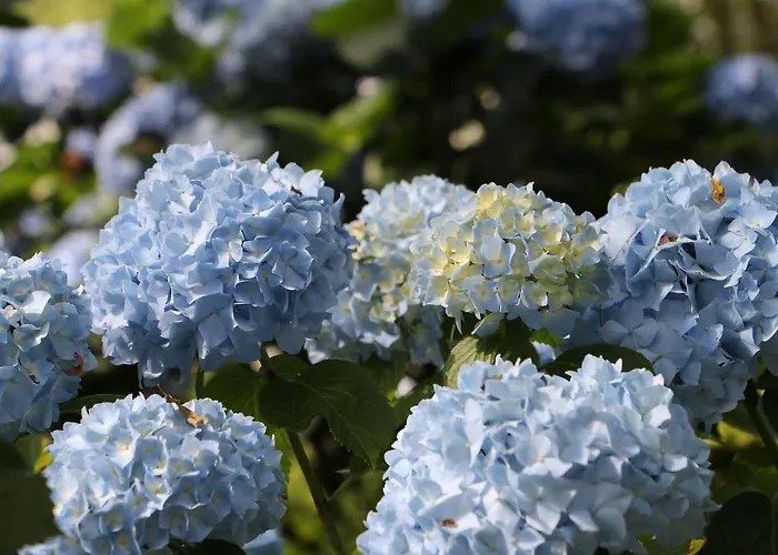 팜스테이 Mar Y Mar