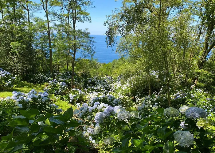 Mar Y Mar Фермерський будинок *