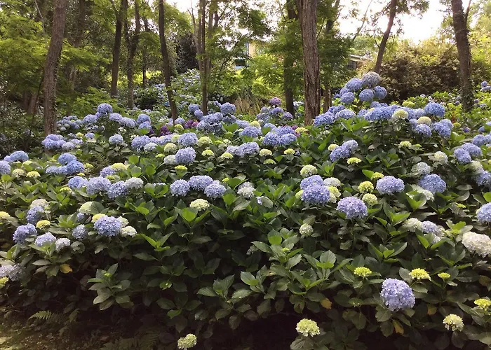 Фермерський будинок Mar Y Mar *