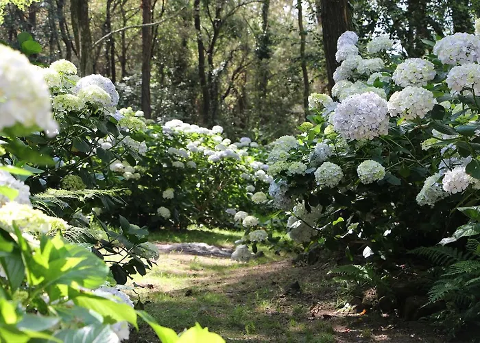 Mar Y Mar Фермерський будинок *