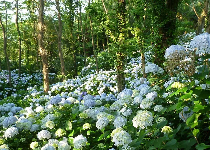 Фермерський будинок Mar Y Mar